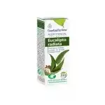 Ulei esential bio de Eucaliptus radiata, 10ml Esentialaroms engros
