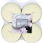 8 SOFT CREAM FLAVORED MAXIPASTLES, wholesale Supreva