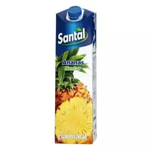 Santal 1L Pineapple Nectar 50% – Exotic and refreshing juice, wholesale