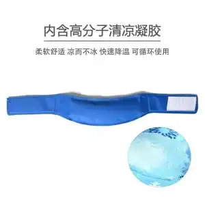 Pet cooling collar 34x5 cm, M000189, wholesale