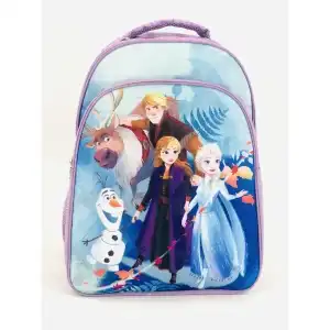 Frozen kids girls school backpack with multiple compartments, wholesale