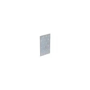Placa perforata pentru lemn 200x100 mm pp12-4412 (ui), DSH 484643