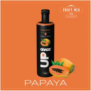 UPGRADE - PAPAYA FRUIT PUREE - 750 ml., buy in bulk