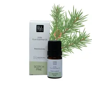ULEI ESENTIAL DE PIN ALB 100% PUR 5 ml