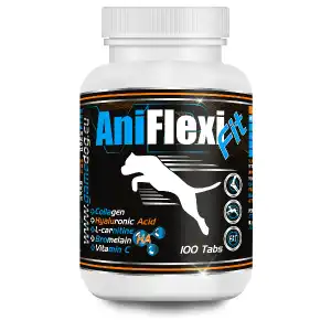 AniflexiFIT B2 tab., mărfuri en-gros