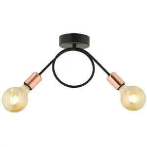 ZEYR Lamp with 2 lights, black/bronze, metal