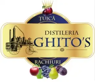 Logo GHITA COSTIN PFA